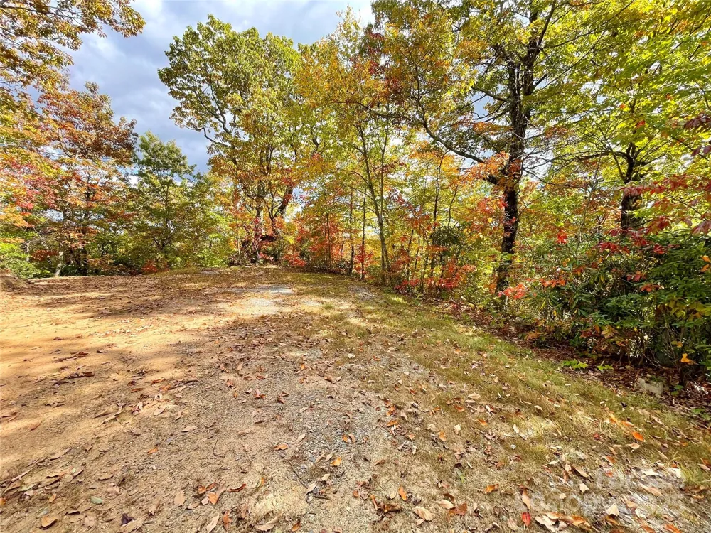 57 Grouse Ridge Drive Black Mountain, NC 28711
