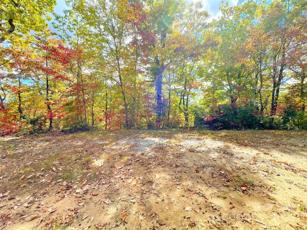 57 Grouse Ridge Drive Black Mountain, NC 28711