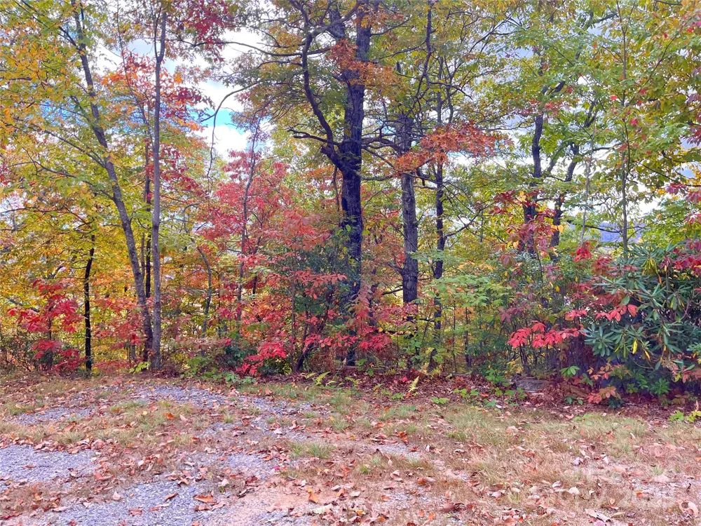 57 Grouse Ridge Drive Black Mountain, NC 28711