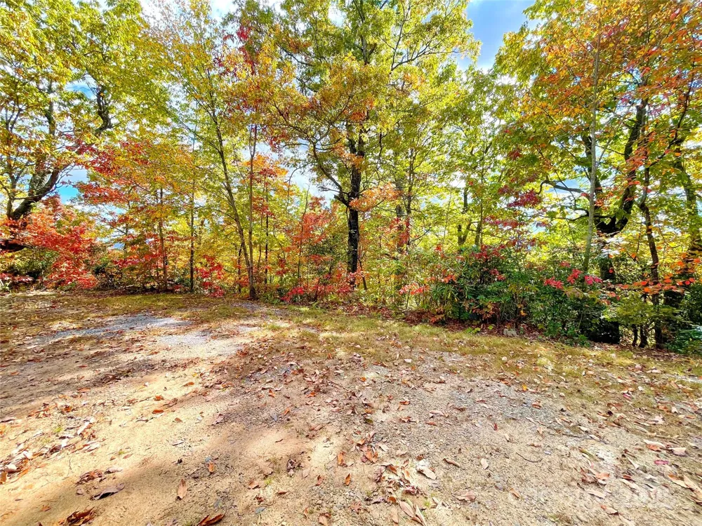 57 Grouse Ridge Drive Black Mountain, NC 28711