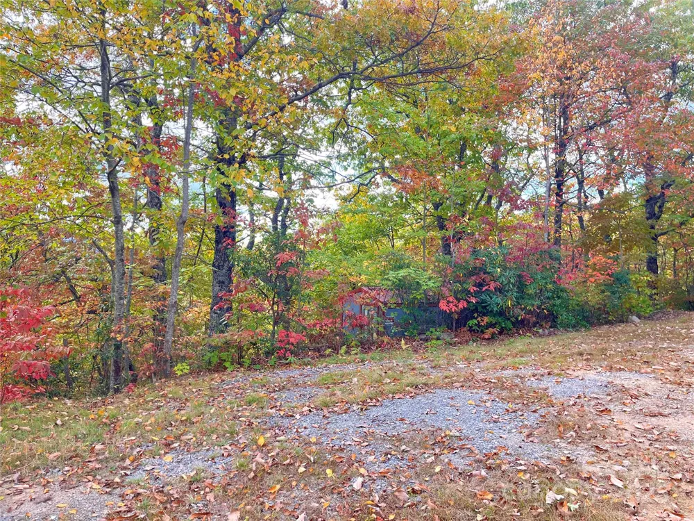 57 Grouse Ridge Drive Black Mountain, NC 28711