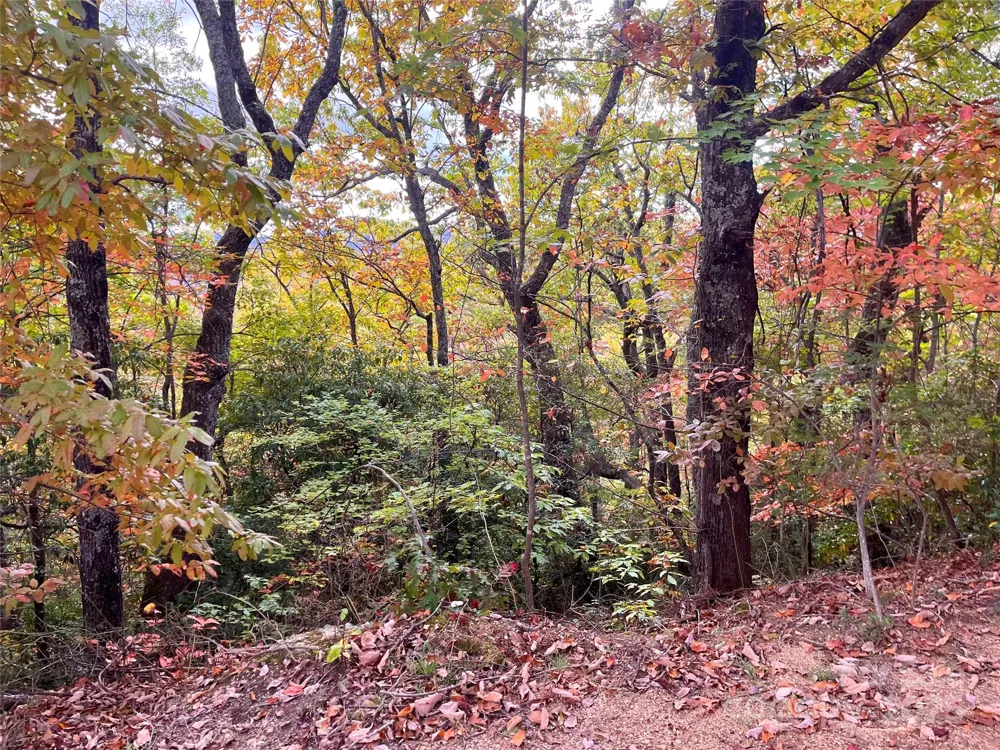 57 Grouse Ridge Drive Black Mountain, NC 28711