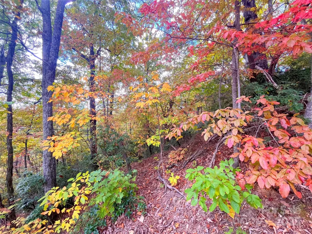 57 Grouse Ridge Drive Black Mountain, NC 28711