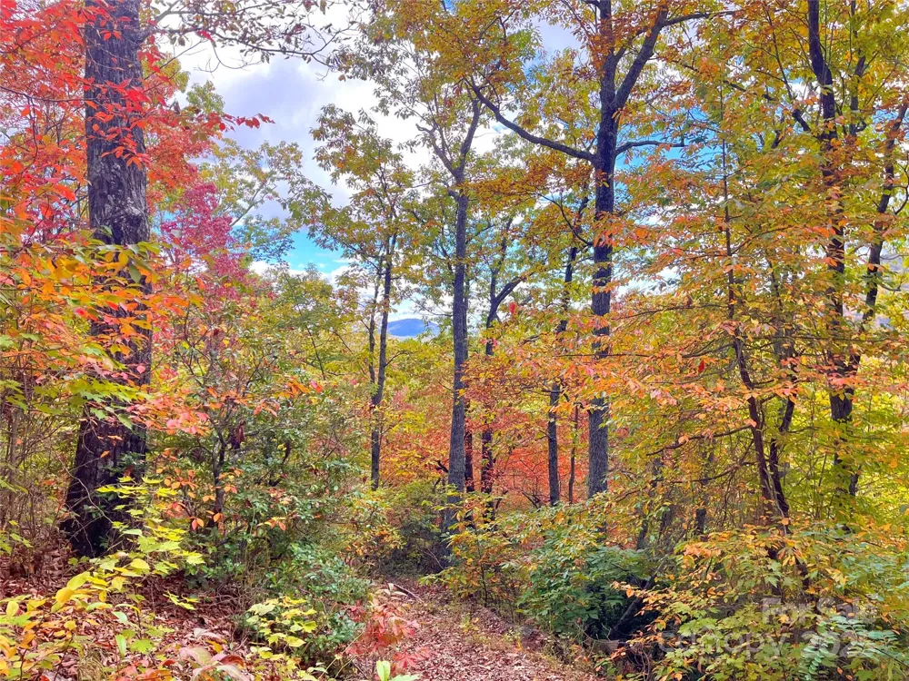 57 Grouse Ridge Drive Black Mountain, NC 28711