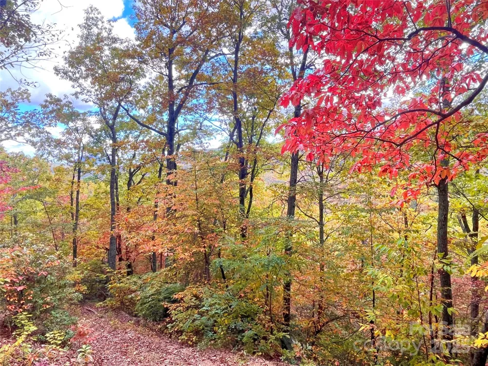 57 Grouse Ridge Drive Black Mountain, NC 28711