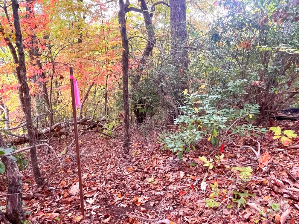 57 Grouse Ridge Drive Black Mountain, NC 28711