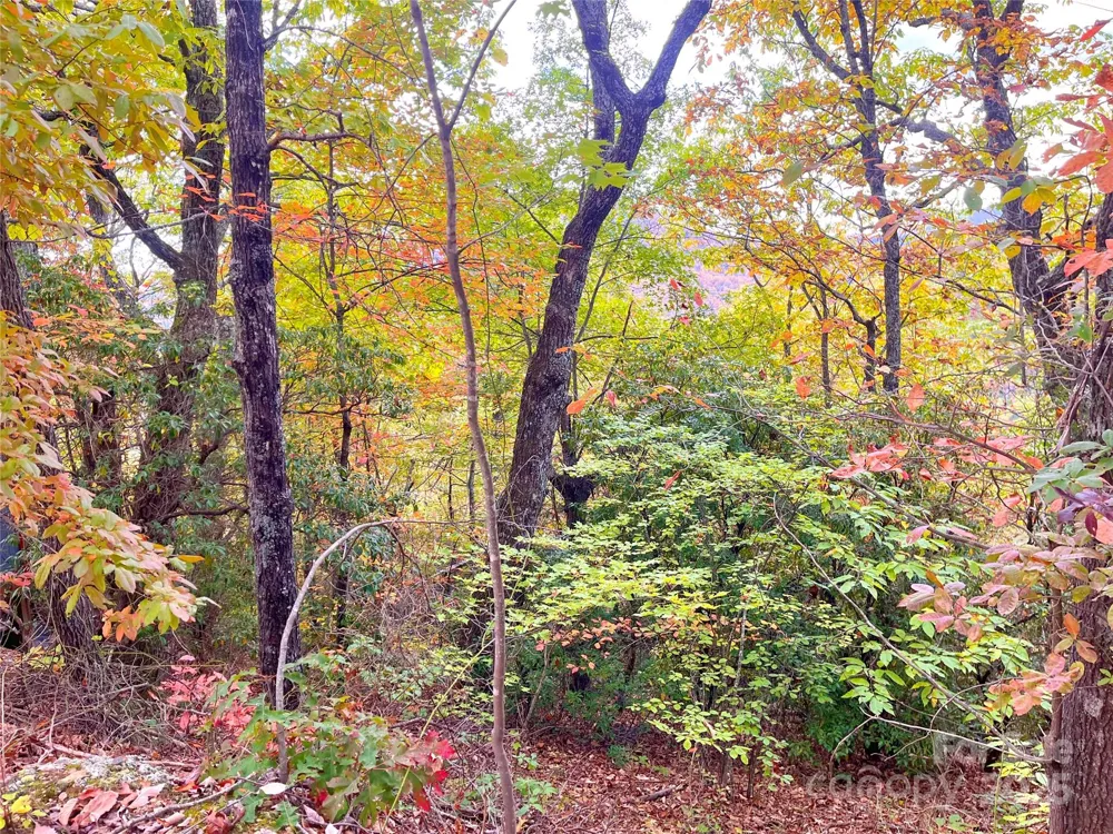 57 Grouse Ridge Drive Black Mountain, NC 28711