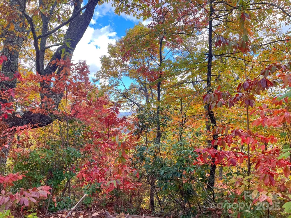 57 Grouse Ridge Drive Black Mountain, NC 28711