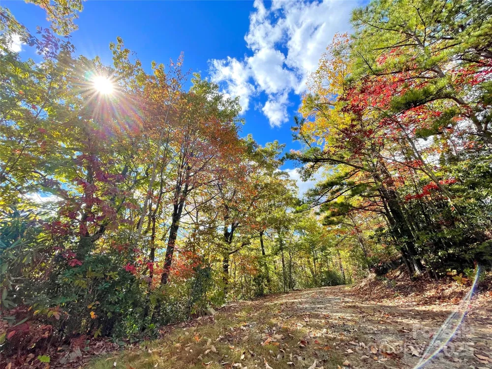 57 Grouse Ridge Drive Black Mountain, NC 28711