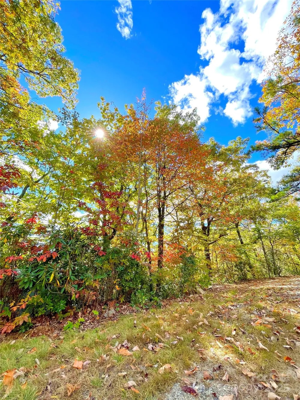 57 Grouse Ridge Drive Black Mountain, NC 28711