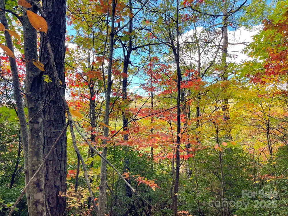 57 Grouse Ridge Drive Black Mountain, NC 28711