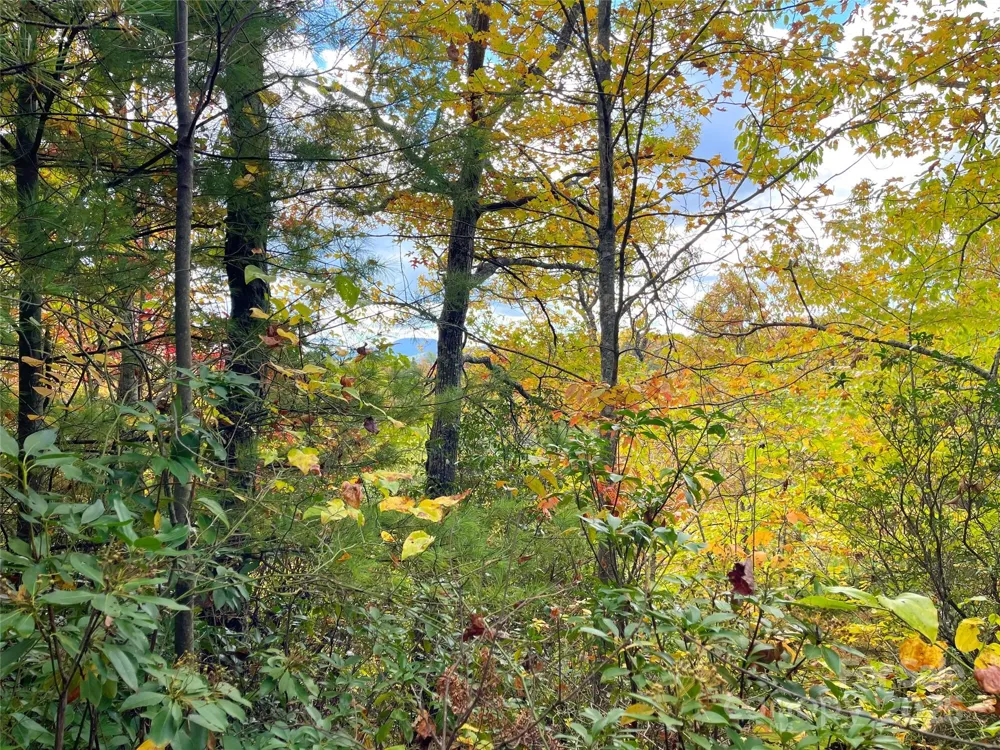 57 Grouse Ridge Drive Black Mountain, NC 28711