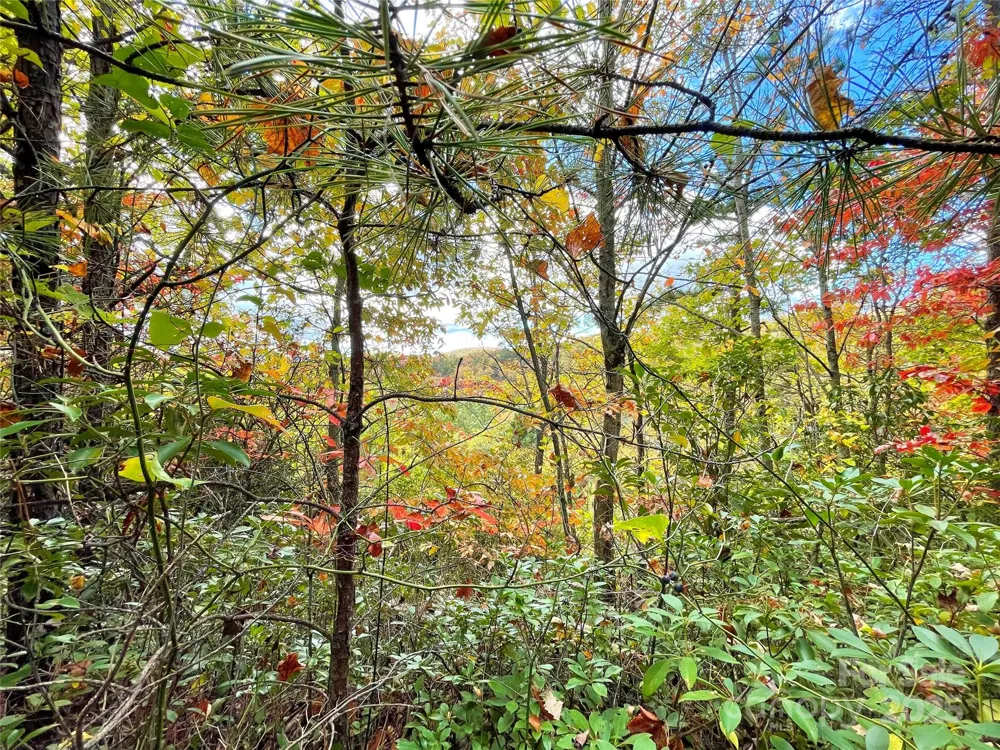 57 Grouse Ridge Drive Black Mountain, NC 28711
