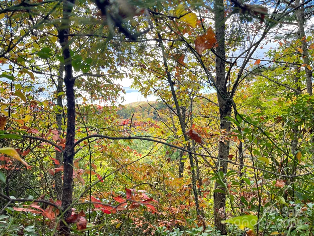 57 Grouse Ridge Drive Black Mountain, NC 28711