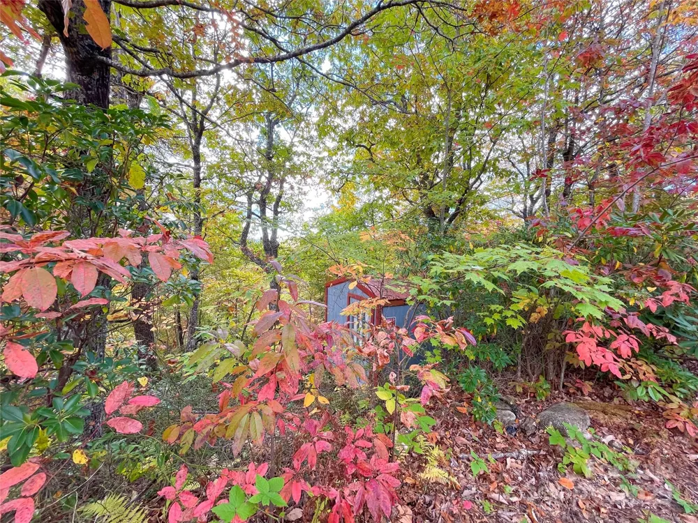 57 Grouse Ridge Drive Black Mountain, NC 28711