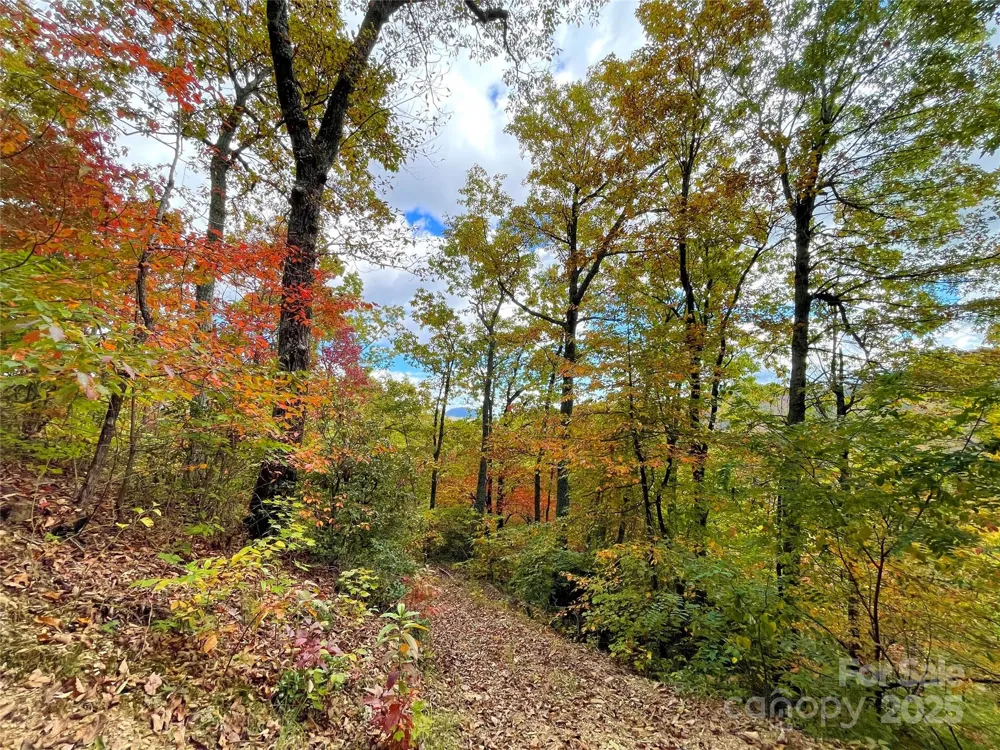 57 Grouse Ridge Drive Black Mountain, NC 28711