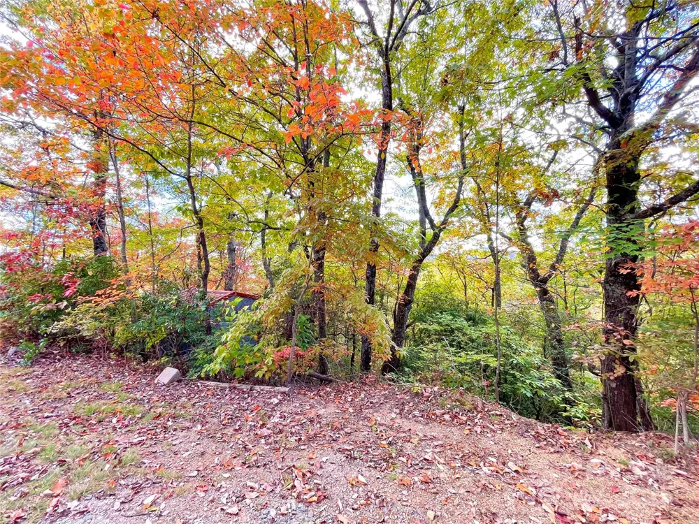 57 Grouse Ridge Drive Black Mountain, NC 28711