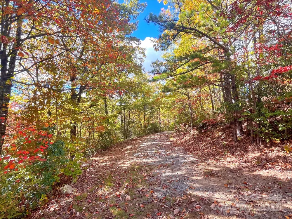 57 Grouse Ridge Drive Black Mountain, NC 28711