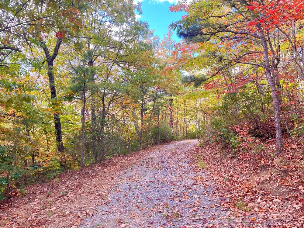 57 Grouse Ridge Drive Black Mountain, NC 28711