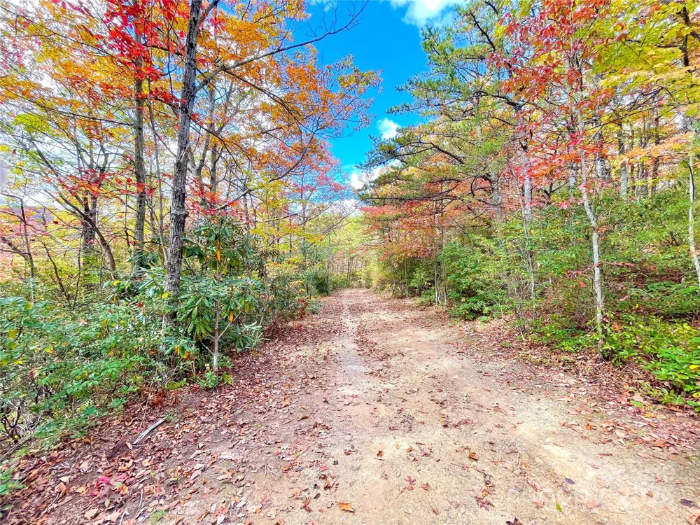 57 Grouse Ridge Drive Black Mountain, NC 28711