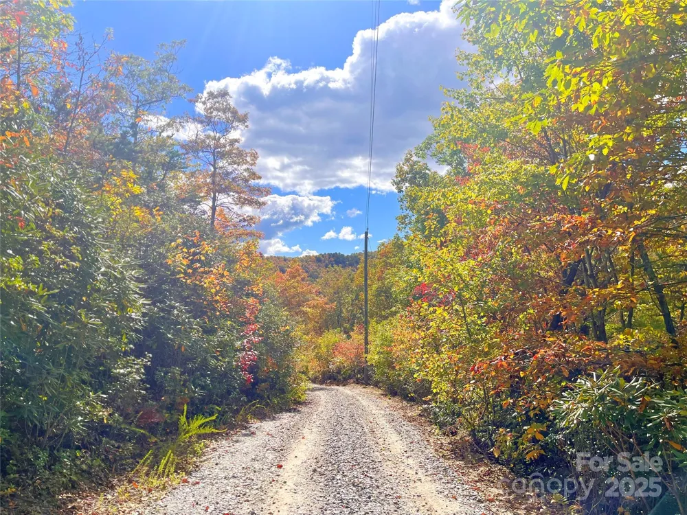 57 Grouse Ridge Drive Black Mountain, NC 28711