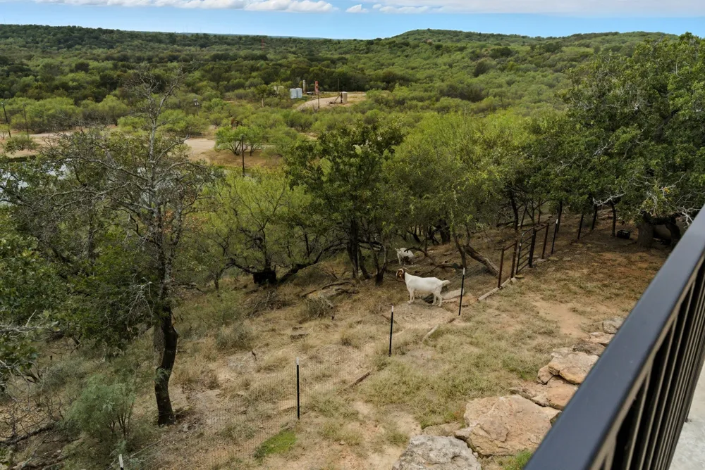 735 Gresham Lane Jacksboro, TX 76458