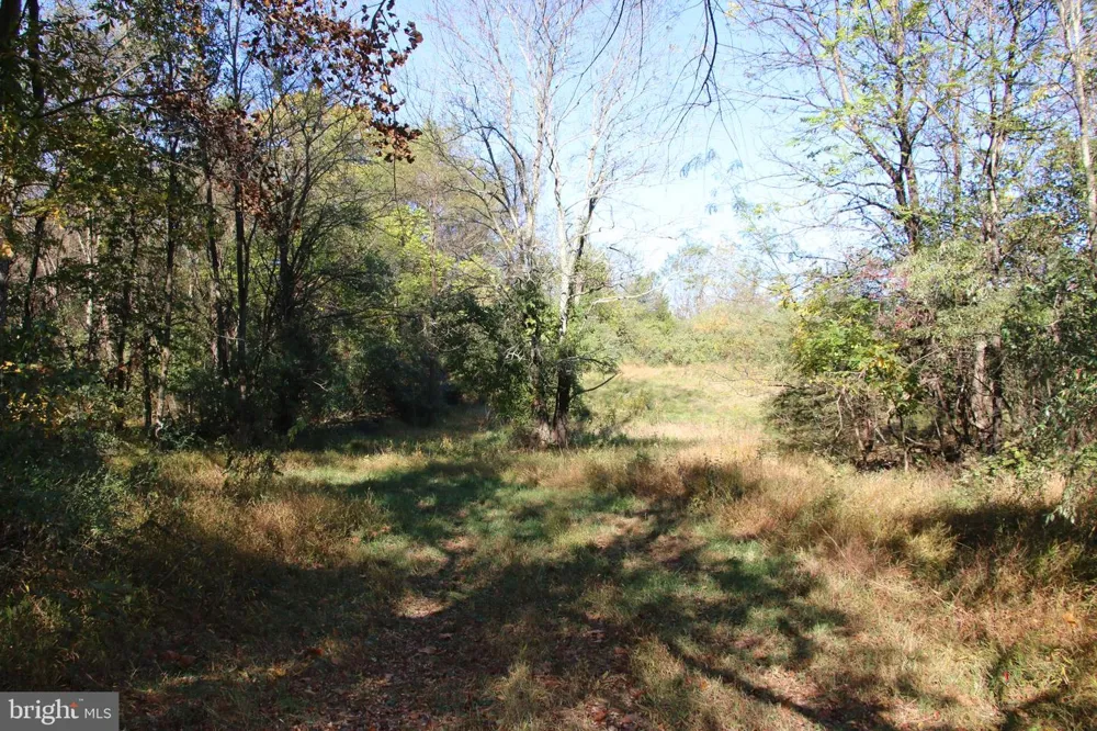 598 TUCKAHOE LANE Winchester, VA 22602