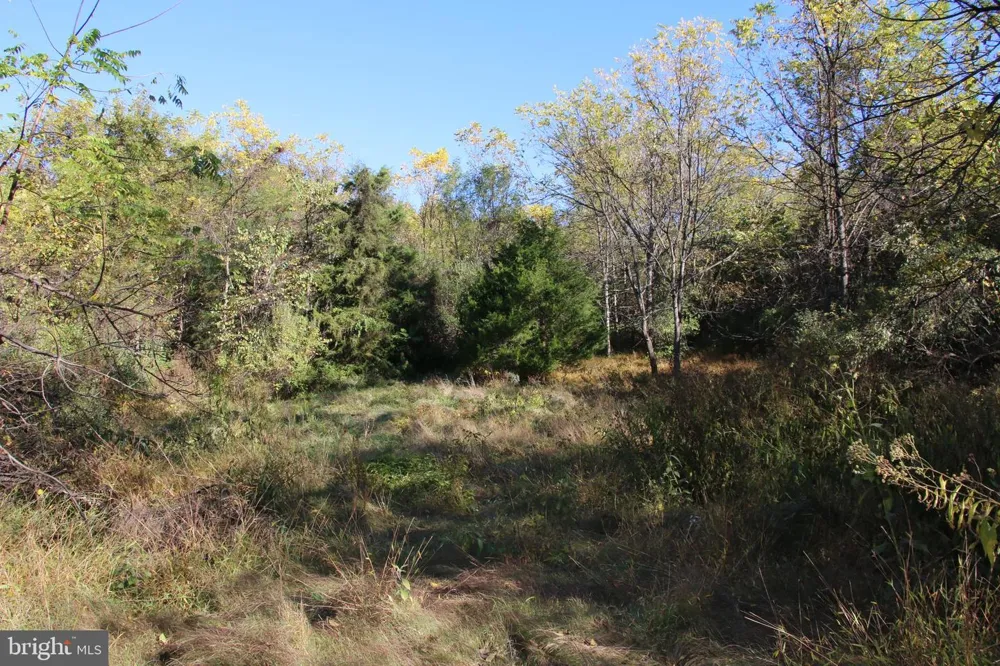 598 TUCKAHOE LANE Winchester, VA 22602