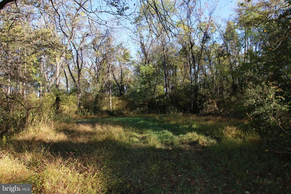598 TUCKAHOE LANE Winchester, VA 22602