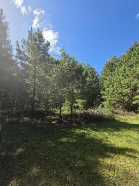 Beaver Dam Road