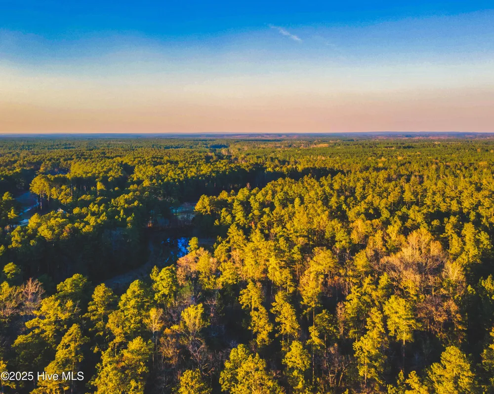 Trt 9 Peach Orchard Road Wagram, NC 28396