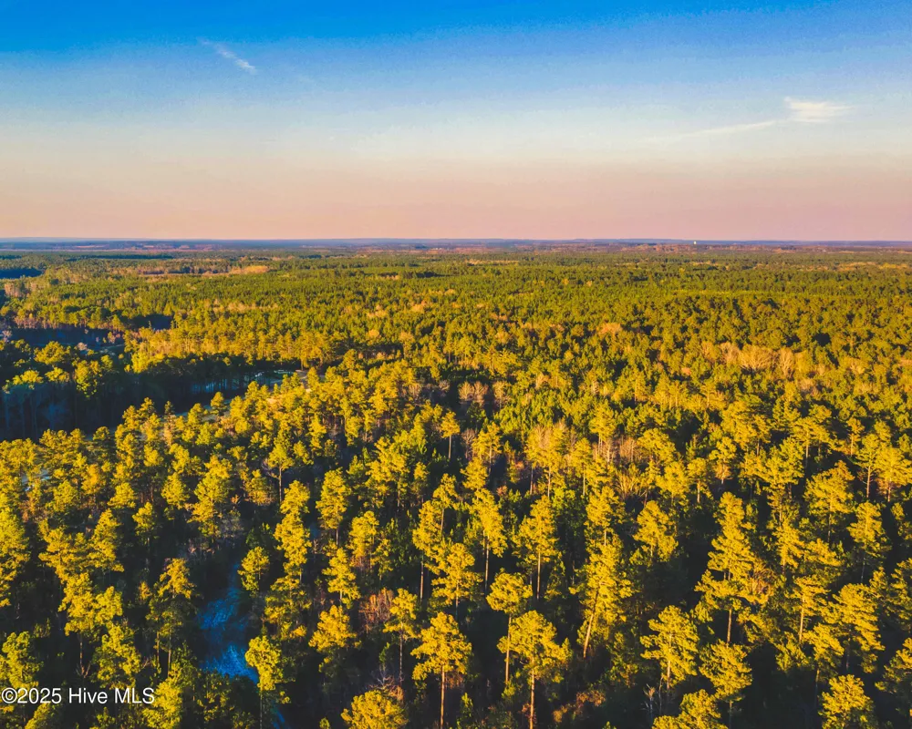 Trt 9 Peach Orchard Road Wagram, NC 28396
