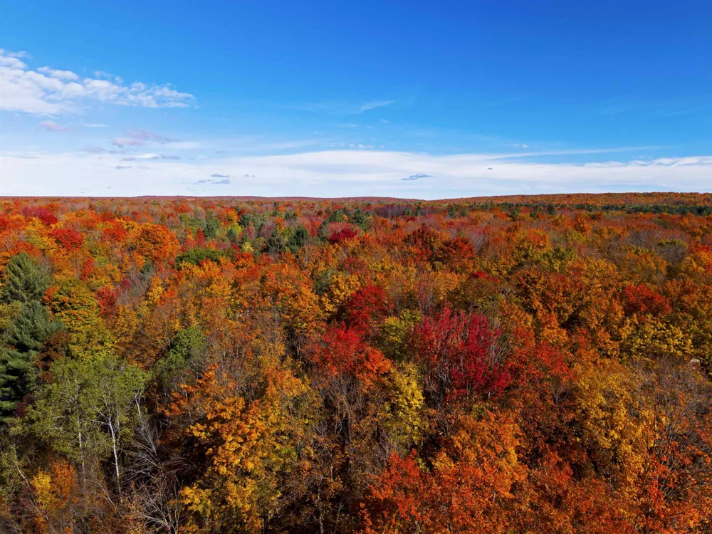 5038 NE East Shore Drive Coldsprings Township, MI 49646