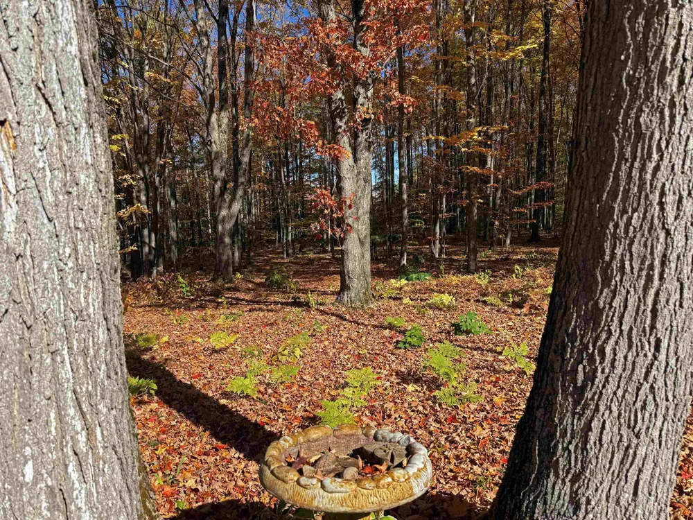 5038 NE East Shore Drive Coldsprings Township, MI 49646