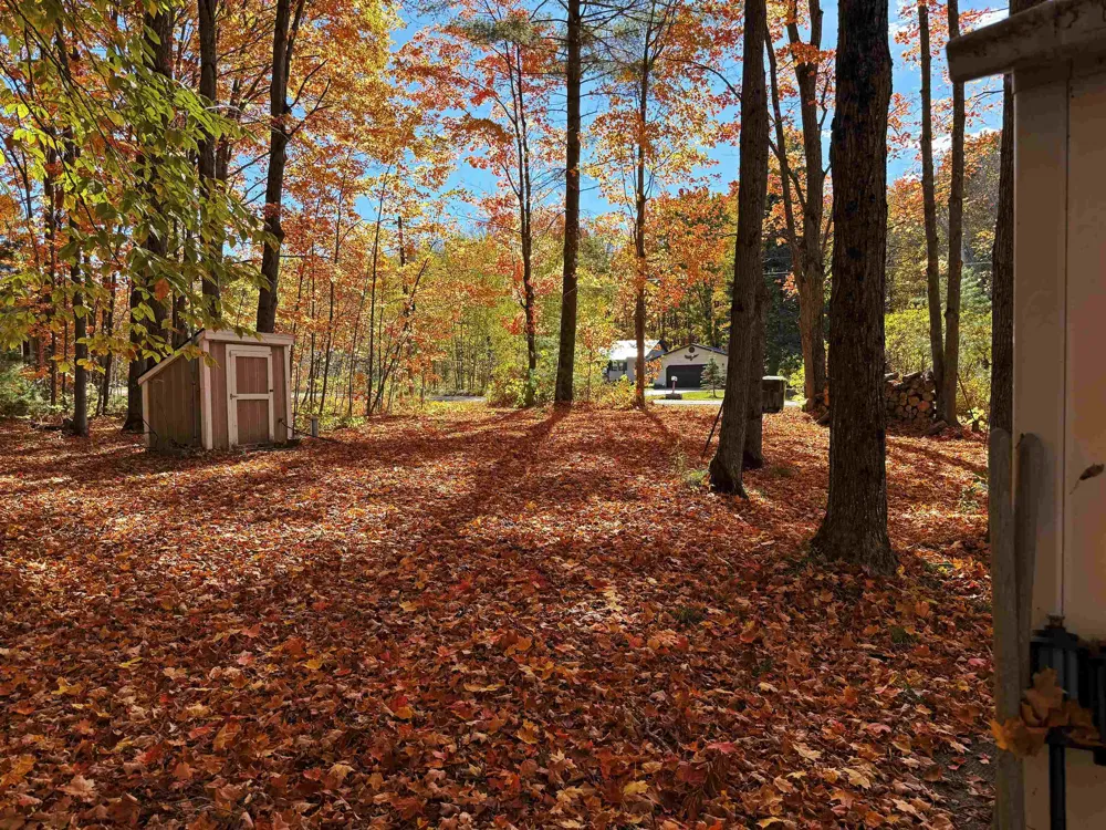 5038 NE East Shore Drive Coldsprings Township, MI 49646