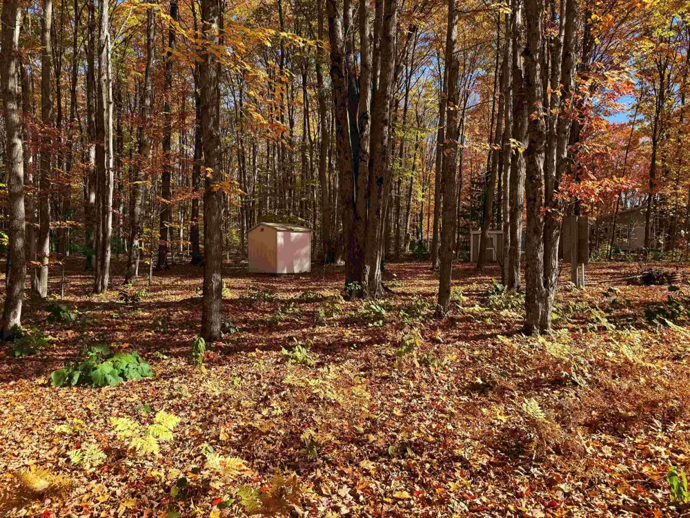 5038 NE East Shore Drive Coldsprings Township, MI 49646