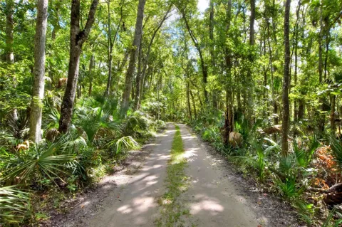 PINE ISLAND DRIVE