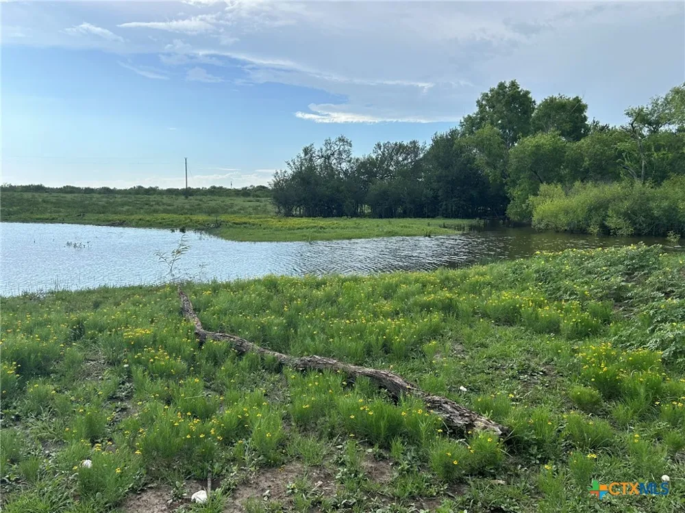 1912 Seminole Trail Dale, TX 78616