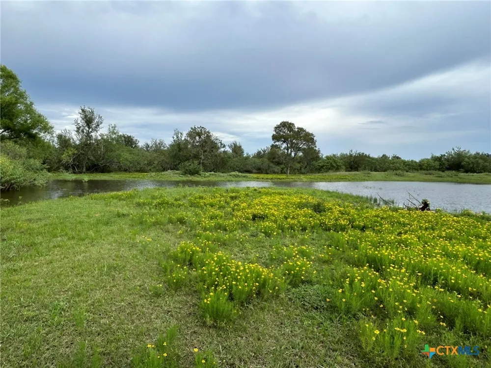1912 Seminole Trail Dale, TX 78616