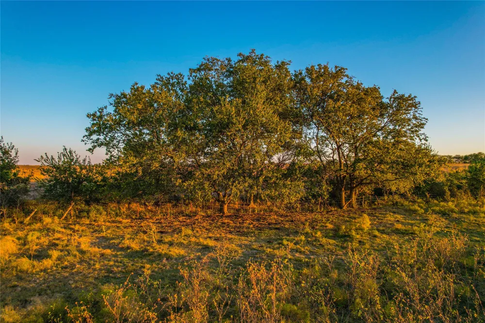 515 County Road 262 Gatesville, TX 76528