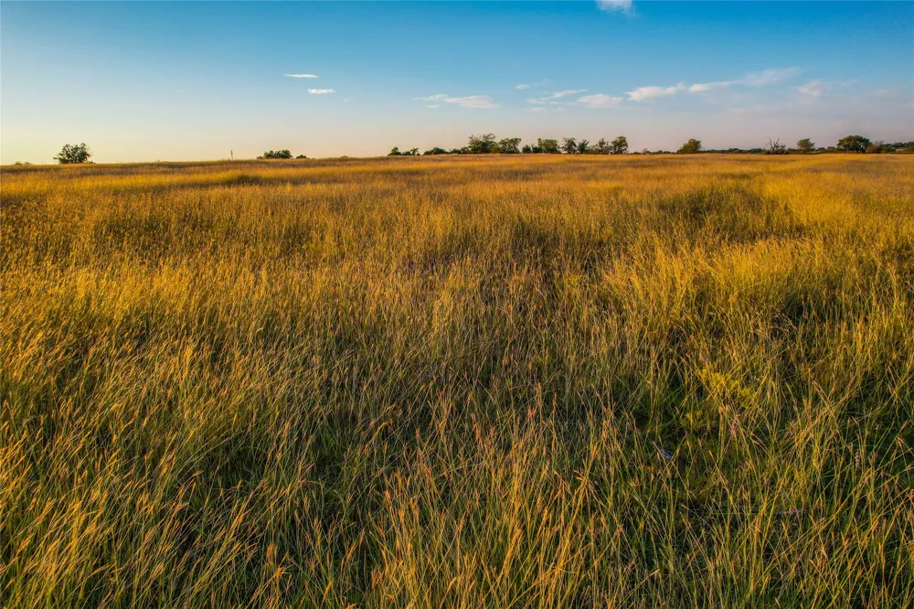 515 County Road 262 Gatesville, TX 76528