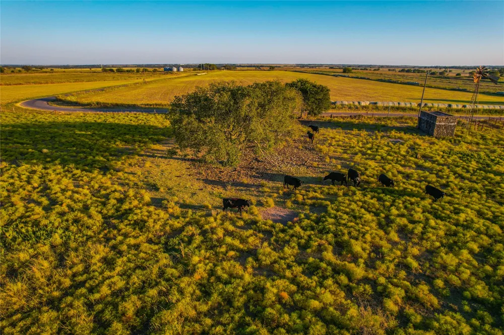 515 County Road 262 Gatesville, TX 76528