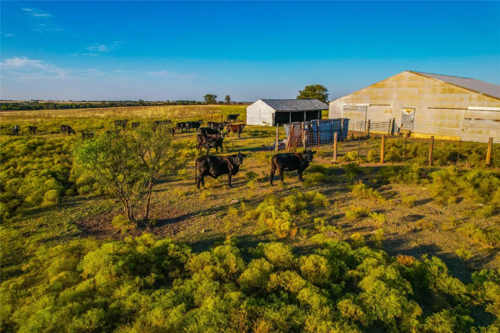 515 County Road 262 Gatesville, TX 76528