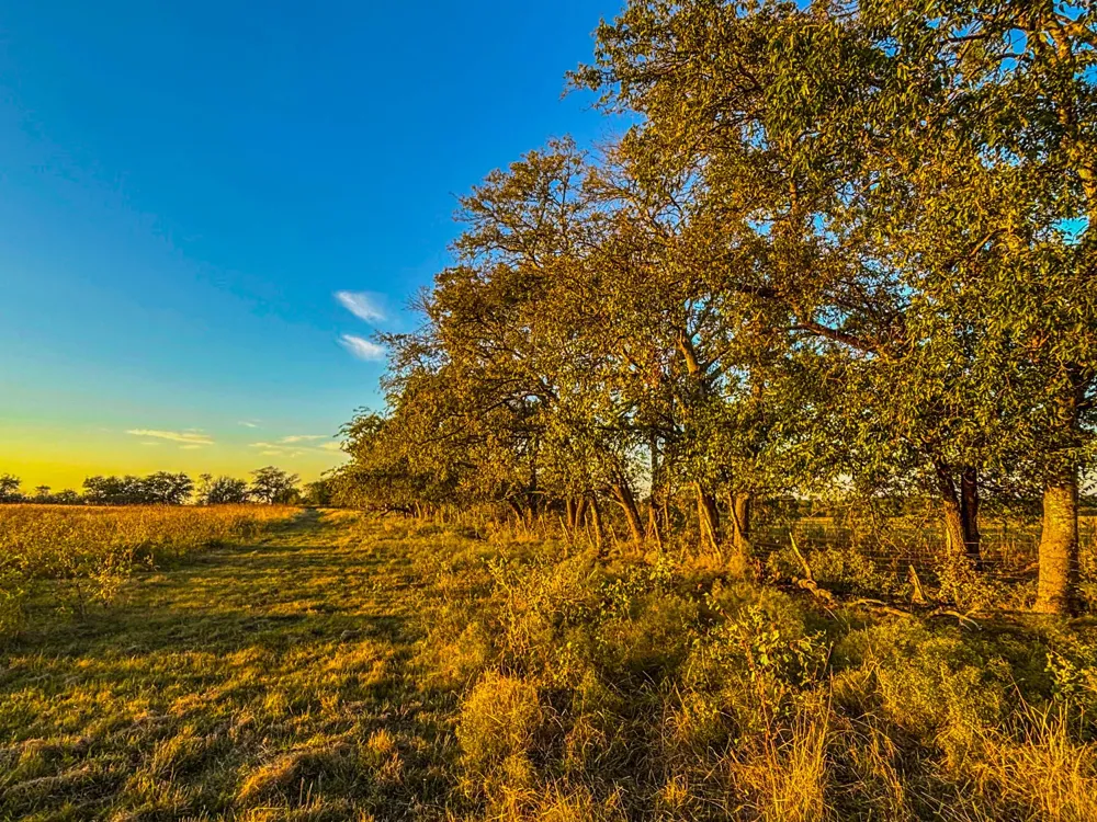 515 County Road 262 Gatesville, TX 76528