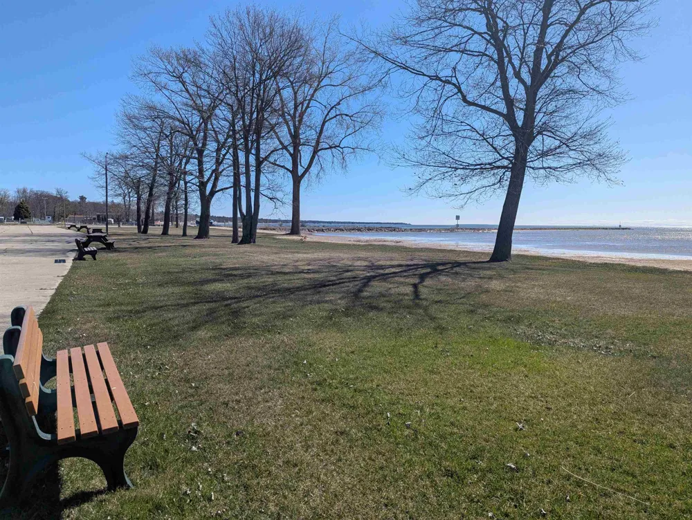 Michigan Avenue Sims Township, MI 48703
