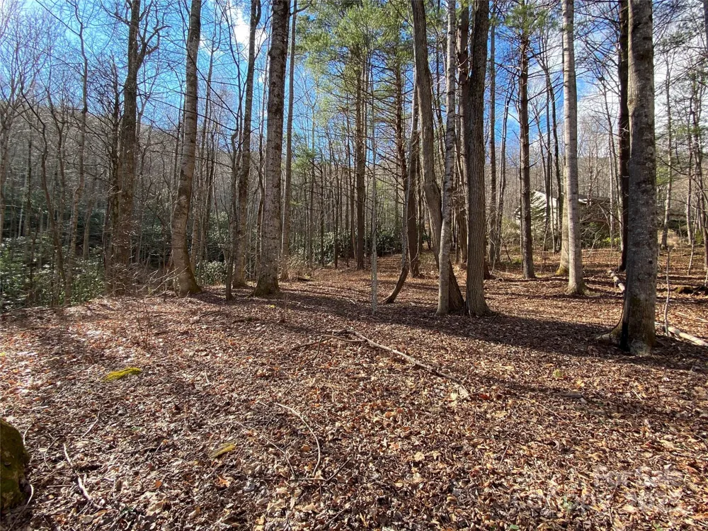 12 Laurel Branch Drive Black Mountain, NC 28711