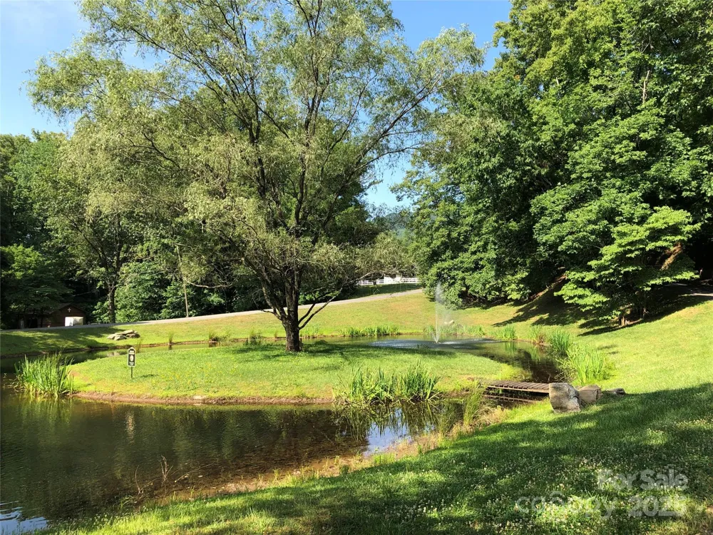 12 Laurel Branch Drive Black Mountain, NC 28711