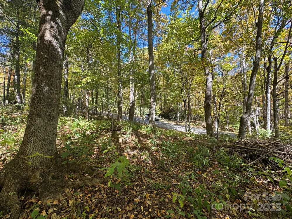 12 Laurel Branch Drive Black Mountain, NC 28711