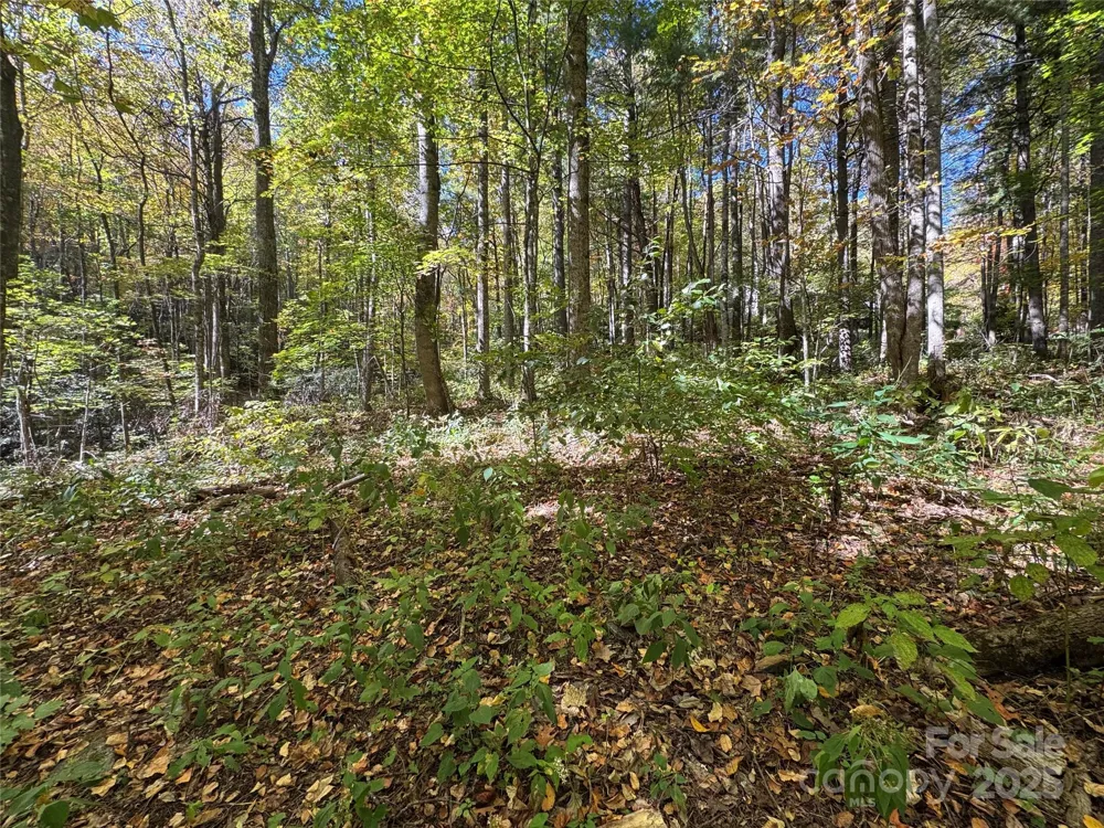 12 Laurel Branch Drive Black Mountain, NC 28711