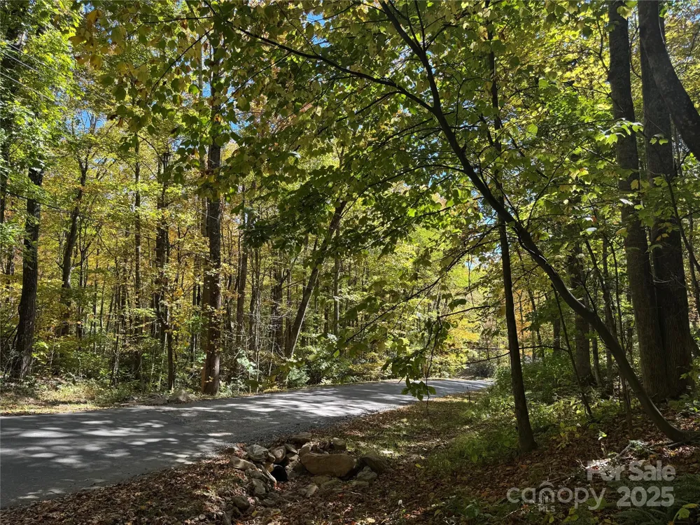 12 Laurel Branch Drive Black Mountain, NC 28711